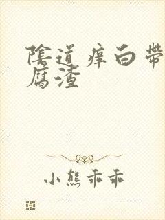 阴道痒白带黄豆腐渣