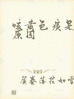 咳黄色痰是什么原因封面