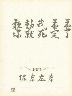 敢动我弟弟的话你就死定了漫画免费下拉式