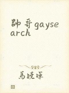帅哥gaysearch
