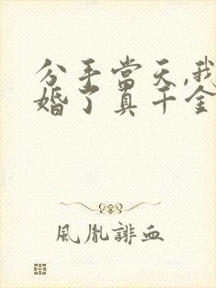 分手当天,我闪婚了真千金封面