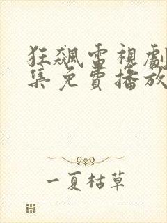 狂飙电视剧36集免费播放