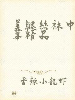 美腿丝袜中文字幕精品