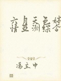 六月天色婷婷激情亚洲综合