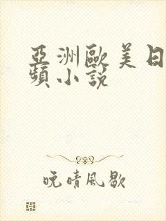 亚洲欧美日韩视频小说封面