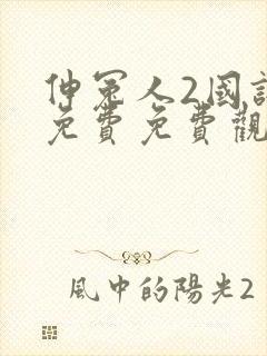 伸冤人2国语版免费免费观看