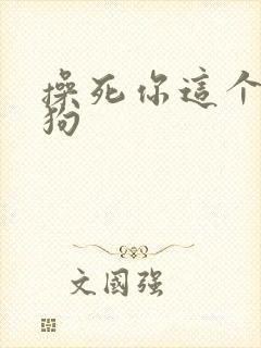 操死你这个骚母狗