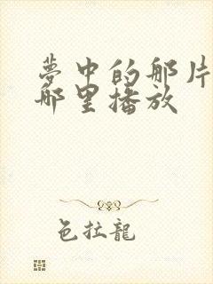 梦中的那片海在哪里播放