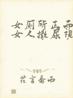 女厕所正面偷拍女人撒尿视频