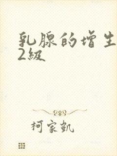 乳腺的增生结节2级