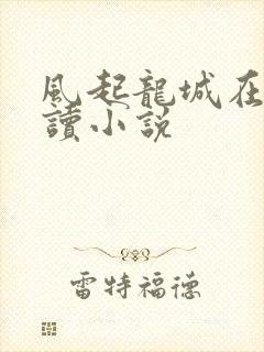 风起龙城在线阅读小说