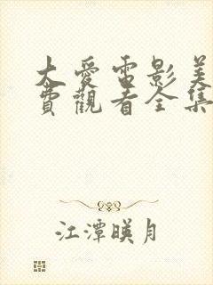 大爱电影美剧免费观看全集完整版