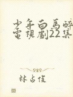 少年白马醉春风电视剧22集免费观看