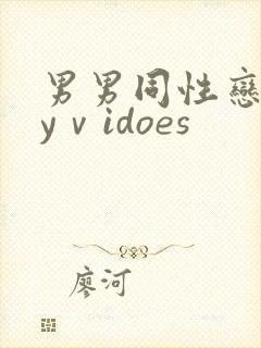 男男同性恋gayⅴidoes