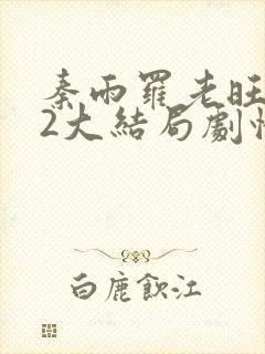 秦雨罗老旺132大结局剧情解析