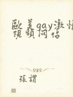欧美gay激情视频网站