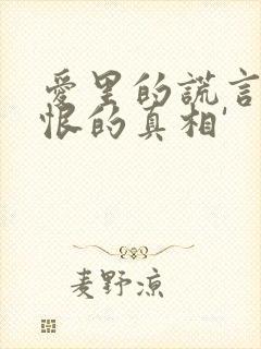 爱里的谎言,仇恨的真相'