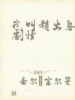 我叫赵出息分集剧情