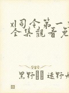 xl司令第一季全集观看免费