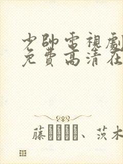 少帅电视剧全集免费高清在线