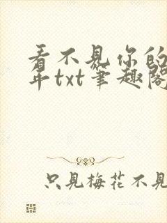 看不见你的第十年txt笔趣阁