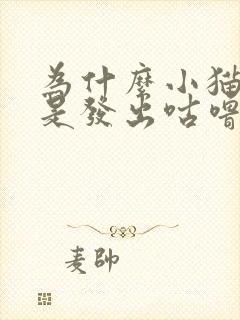 为什么小猫咪总是发出咕噜咕噜的声音