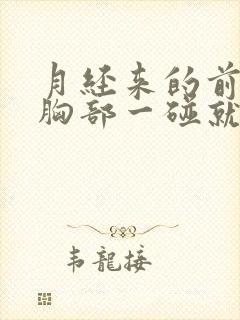 月经来的前几天胸部一碰就疼