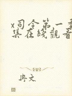 x司令第一季全集在线观看完整版动漫