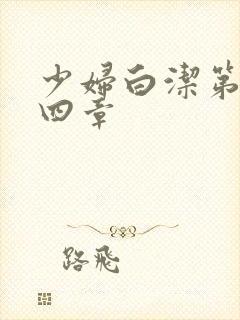 少妇白洁第三十四章