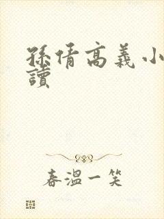 孙倩高义小说阅读