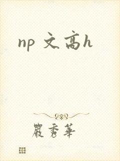 np 文高h