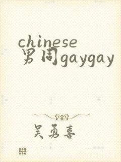 chinese男同gaygay封面