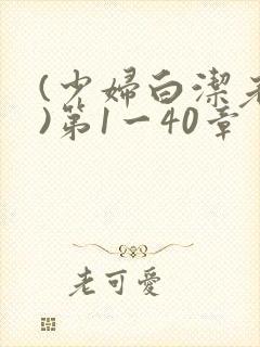 (少妇白洁老师)第1一40章