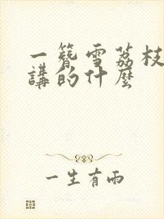 一簪雪荔枝很甜讲的什么封面