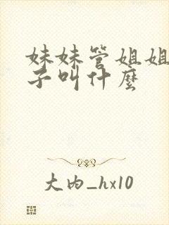 妹妹管姐姐的儿子叫什么封面