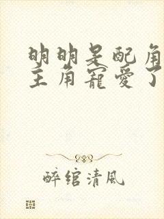 明明是配角却被主角宠爱了动漫