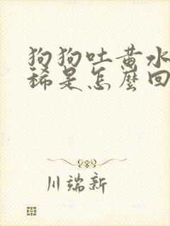 狗狗吐黄水不拉稀是怎么回事封面