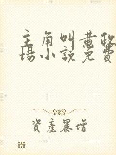 主角叫黄政的官场小说免费阅读