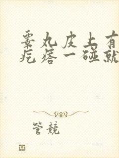 睾丸皮上有一个疙瘩一碰就疼