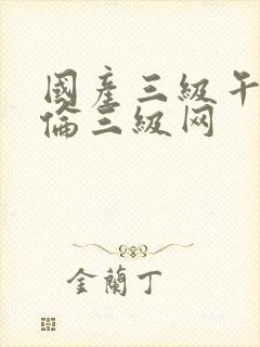 国产三级午夜理伦三级网封面