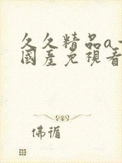 久久精品a一级国产免视看成人