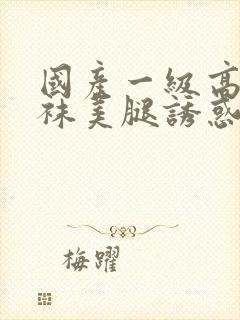 国产一级高跟丝袜美腿诱惑