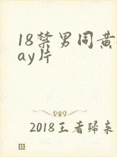 18禁男同黄gay片封面