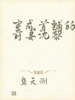 穿成首辅的炮灰前妻沈黎