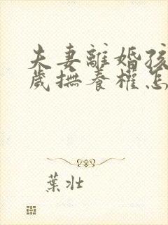 夫妻离婚孩子9岁抚养权怎么判定