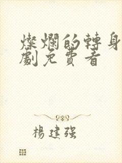 灿烂的转身电视剧免费看封面