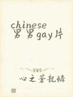 chinese男男gay片封面