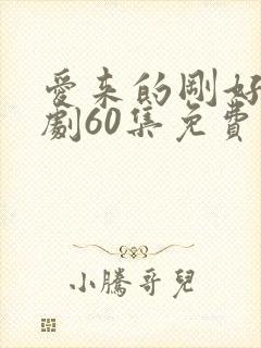 爱来的刚好电视剧60集免费观看