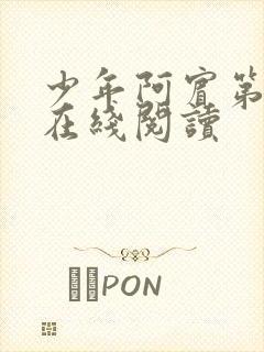 少年阿宾第二部在线阅读封面