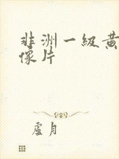 非洲一级黄色录像片